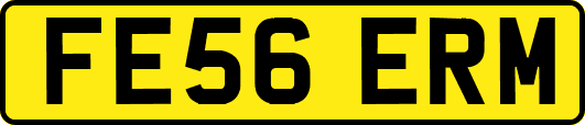 FE56ERM