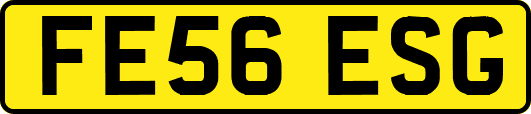 FE56ESG