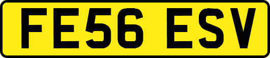 FE56ESV