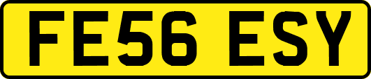 FE56ESY