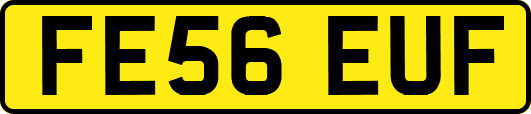 FE56EUF