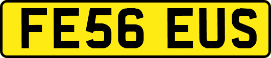 FE56EUS