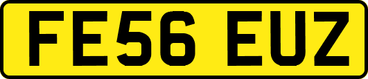 FE56EUZ