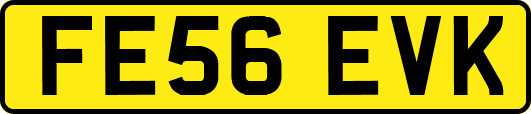 FE56EVK