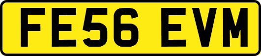 FE56EVM