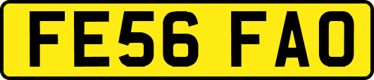 FE56FAO