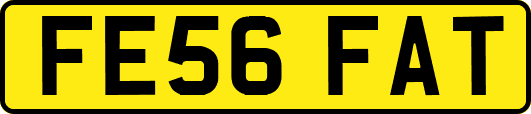 FE56FAT