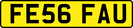 FE56FAU
