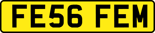 FE56FEM