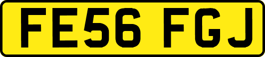FE56FGJ