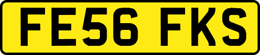 FE56FKS