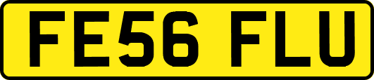 FE56FLU