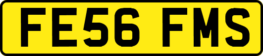 FE56FMS