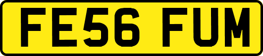 FE56FUM