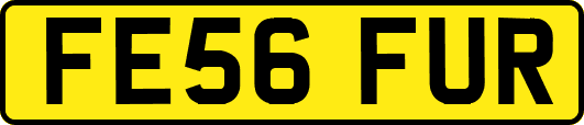FE56FUR