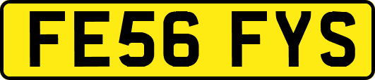 FE56FYS