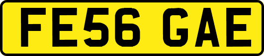 FE56GAE