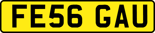 FE56GAU