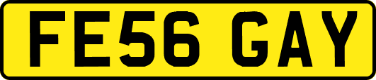 FE56GAY