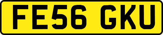 FE56GKU
