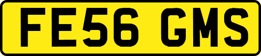 FE56GMS