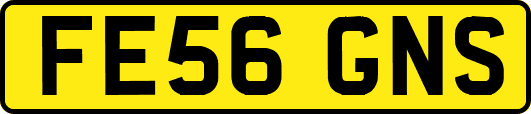 FE56GNS