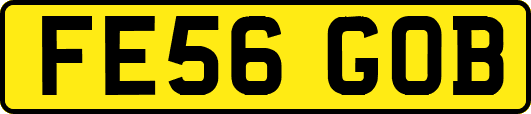 FE56GOB