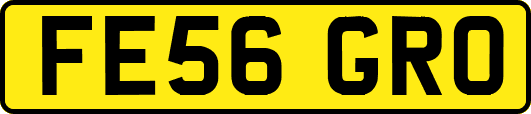 FE56GRO