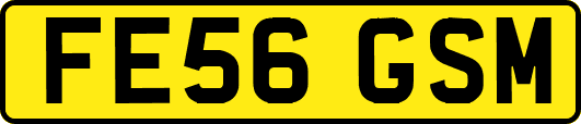 FE56GSM