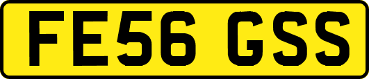 FE56GSS