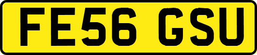 FE56GSU