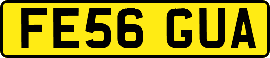 FE56GUA