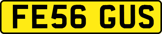 FE56GUS