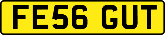 FE56GUT
