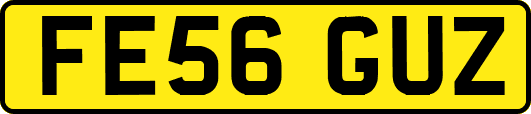 FE56GUZ