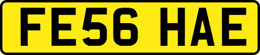 FE56HAE