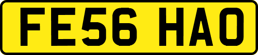 FE56HAO