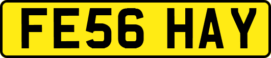 FE56HAY