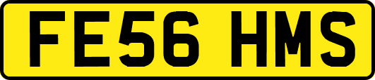 FE56HMS