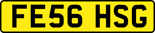 FE56HSG