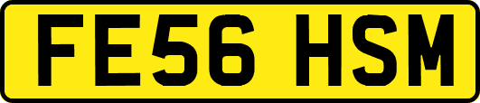 FE56HSM