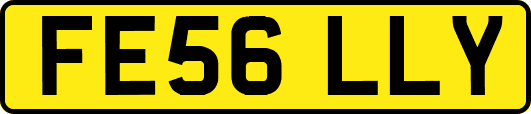 FE56LLY