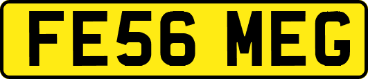 FE56MEG