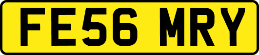 FE56MRY