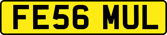 FE56MUL