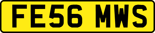 FE56MWS