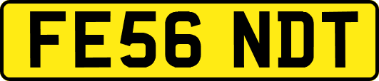 FE56NDT
