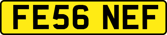 FE56NEF