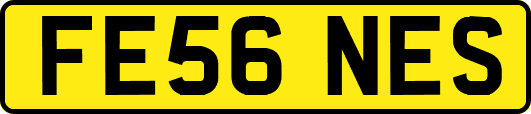 FE56NES