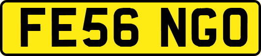 FE56NGO